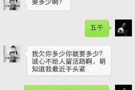 绵阳为什么选择专业追讨公司来处理您的债务纠纷？